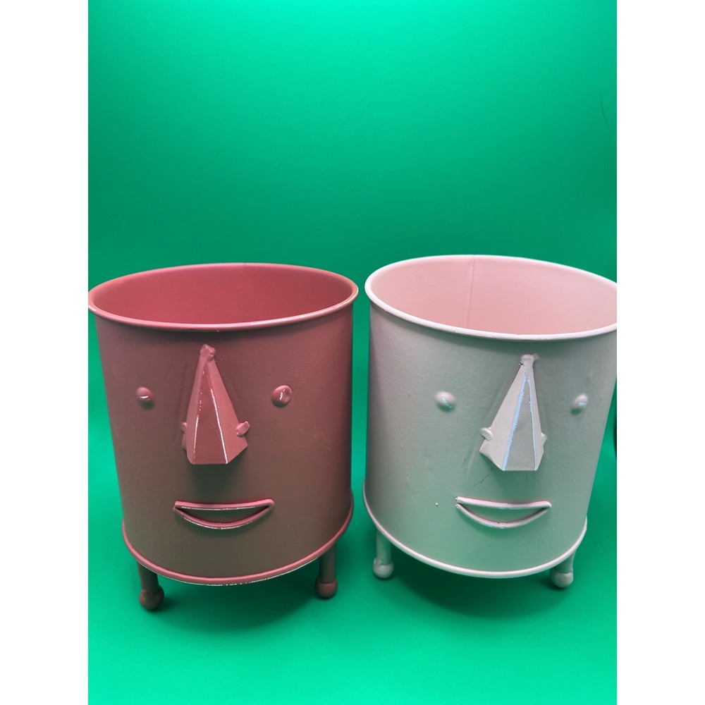 CBK Inspired Home Mini Face Planters Set of 2 Metal Pink Rose Decorative Pots